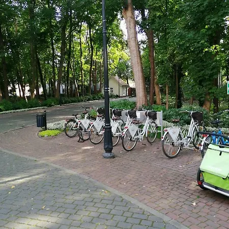 Apartament Mateusz *